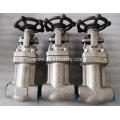 F321 bellow globe valve